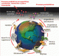/album/fotogaleria-inicio/vidarec-gif/